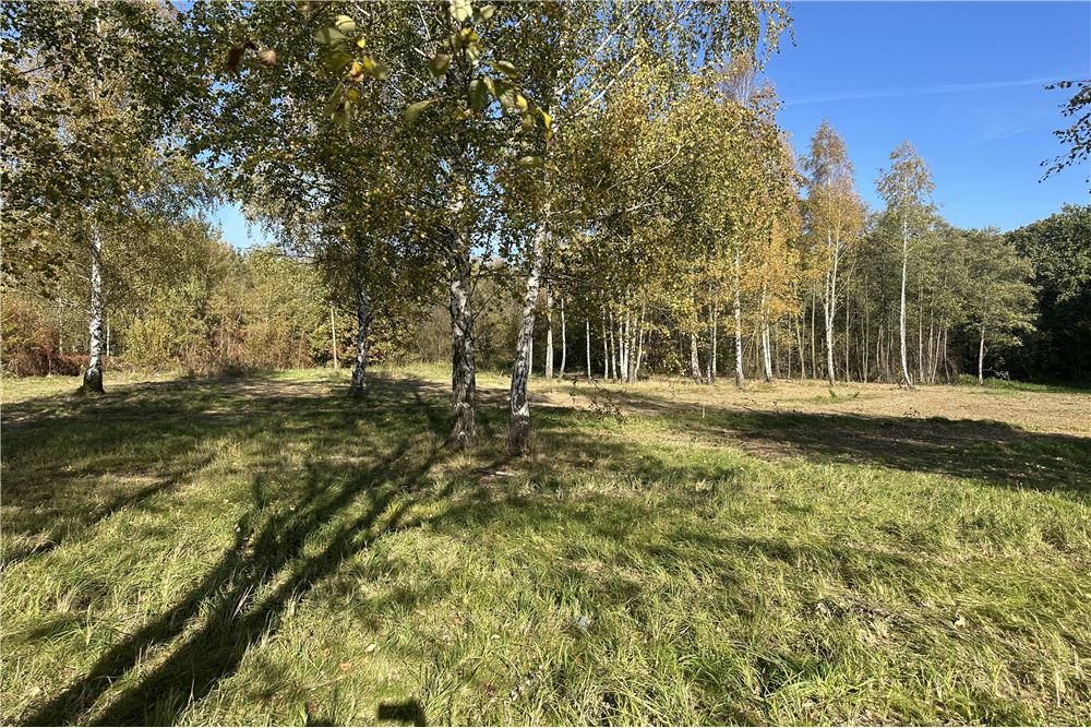 Działka budowlana - Sprzedaż - Jasienica, Polska - 37 - 800061103-173