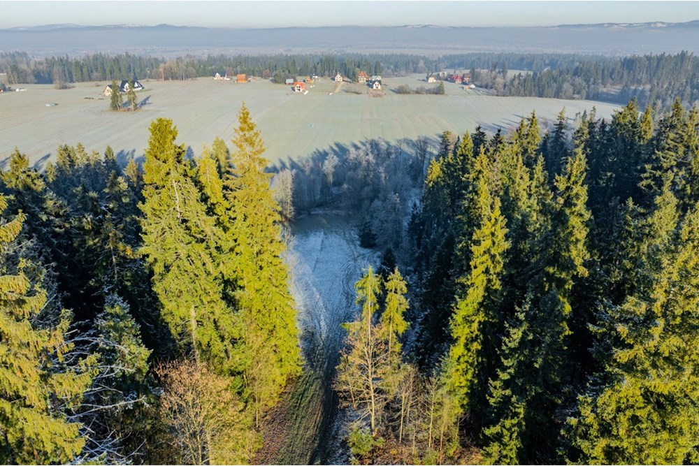 Działka - Sprzedaż - Maruszyna, Polska - 20251119-DJI_0440-HDR.jpg - 800091009-306