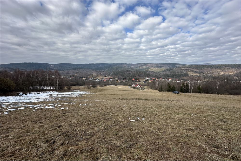 Działka budowlana - Sprzedaż - Las, Polska - 20 - 800061103-198