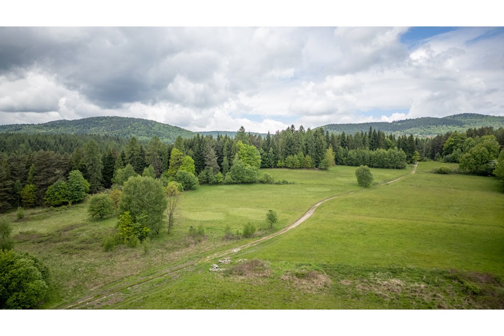 Działka - Sprzedaż - Krzeszów, Polska - DJI_0363.jpg - 470131112-5