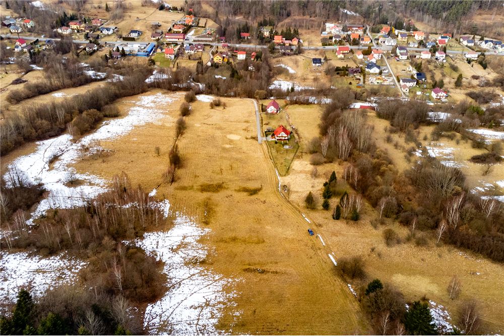 Działka budowlana - Sprzedaż - Las, Polska - 24 - 800061103-198