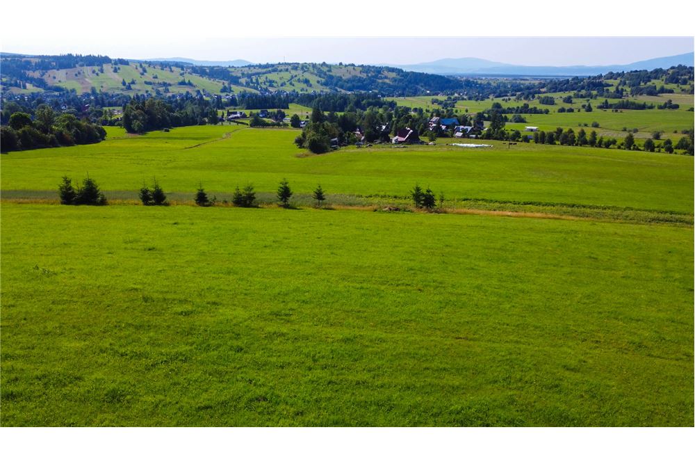 Nieruchomość gruntowa - Sprzedaż - Dzianisz, Polska - 24 - 800061116-24