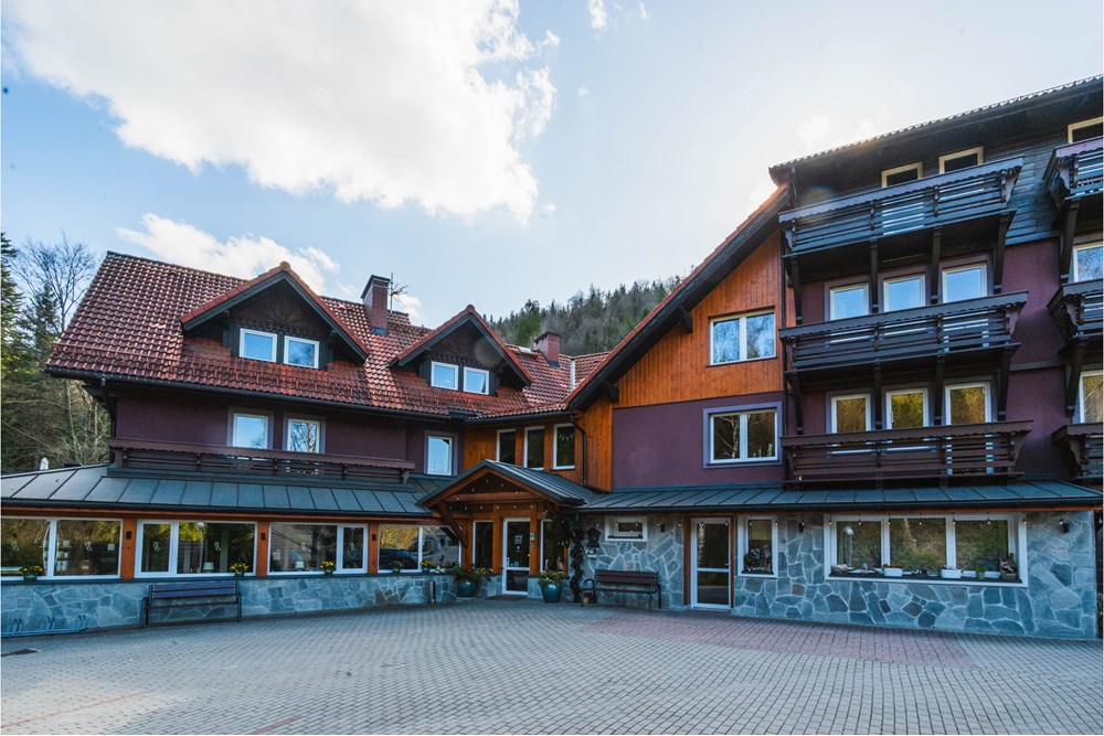 Sprzedaż firmy - Sprzedaż - Szczyrk, Polska - Hotel Szczyrk Damian-46.JPG - 800061126-16