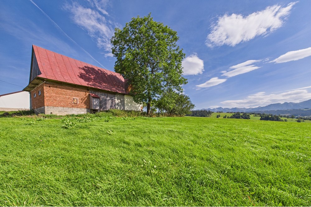 Dom wolnostojący - Sprzedaż - Czerwienne, Polska - CAM05558G0-PR0017-STILL020.jpg - 470151024-447