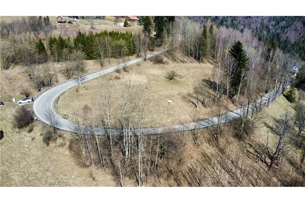 Działka budowlana - Sprzedaż - Kocierz Rychwałdzki, Polska - 4 - 800061127-4