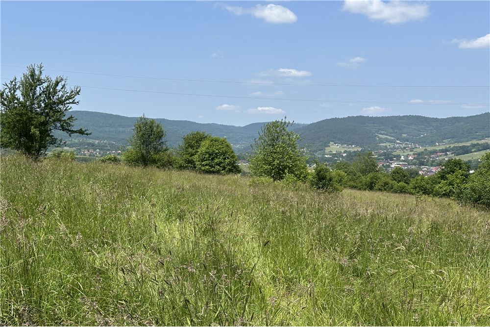 Działka budowlana - Sprzedaż - Rychwałd, Polska - 46 - 800061103-169