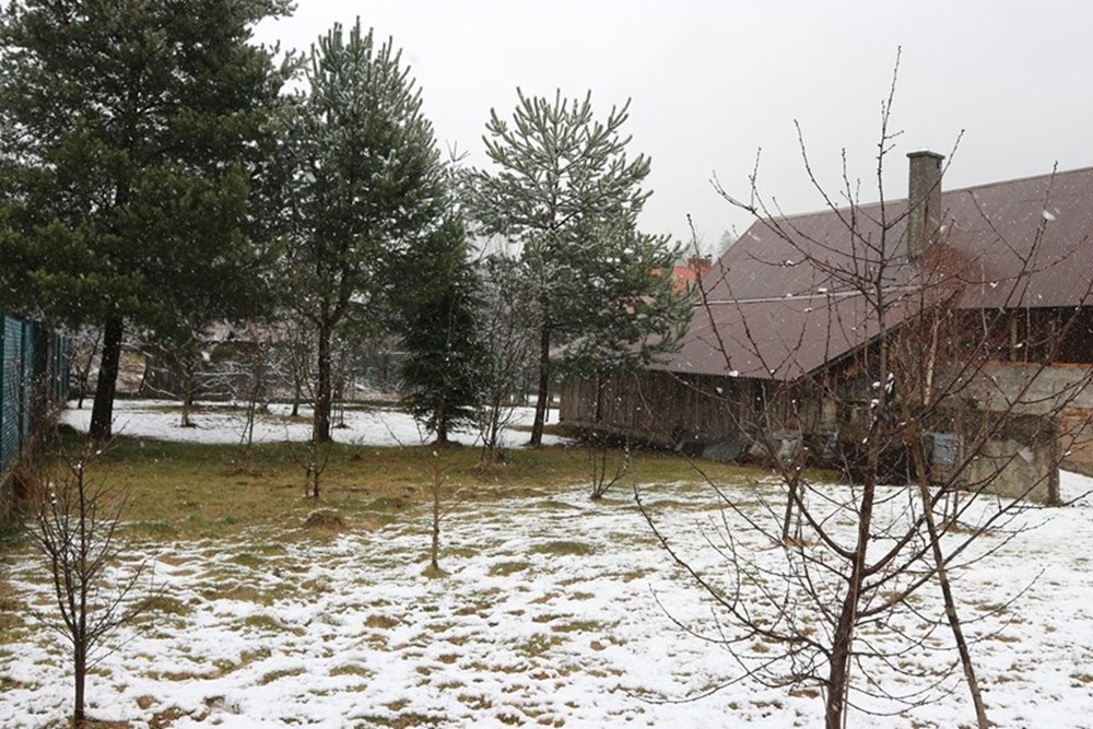 Dom wolnostojący - Sprzedaż - Rycerka Górna, Polska - IMG_5113.JPG - 800061130-8