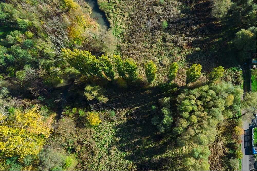 Nieruchomość gruntowa - Sprzedaż - Słomniki, Polska - fot (23).jpg - 800241049-16