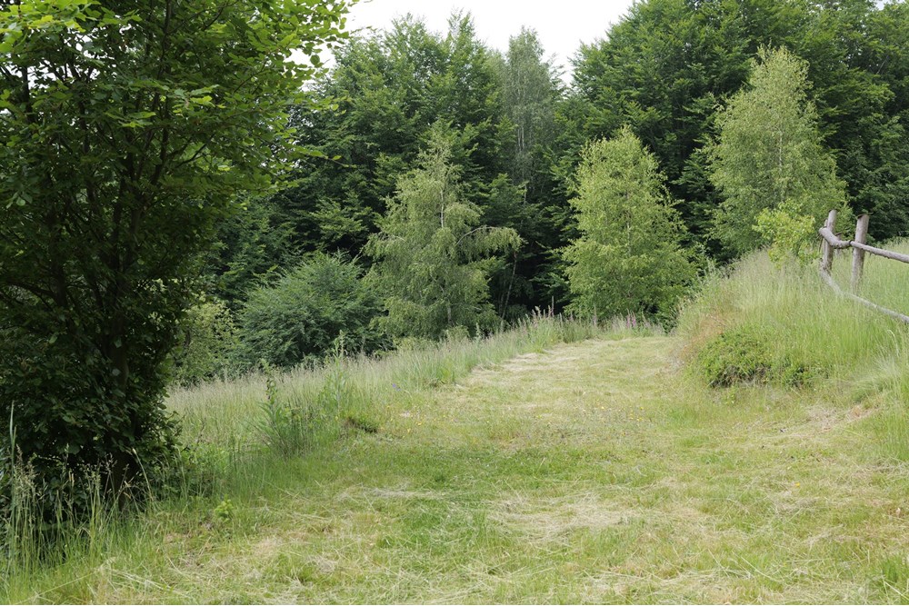 Działka - Sprzedaż - Wilkowice, Polska - P1011742.JPG - 800061116-13