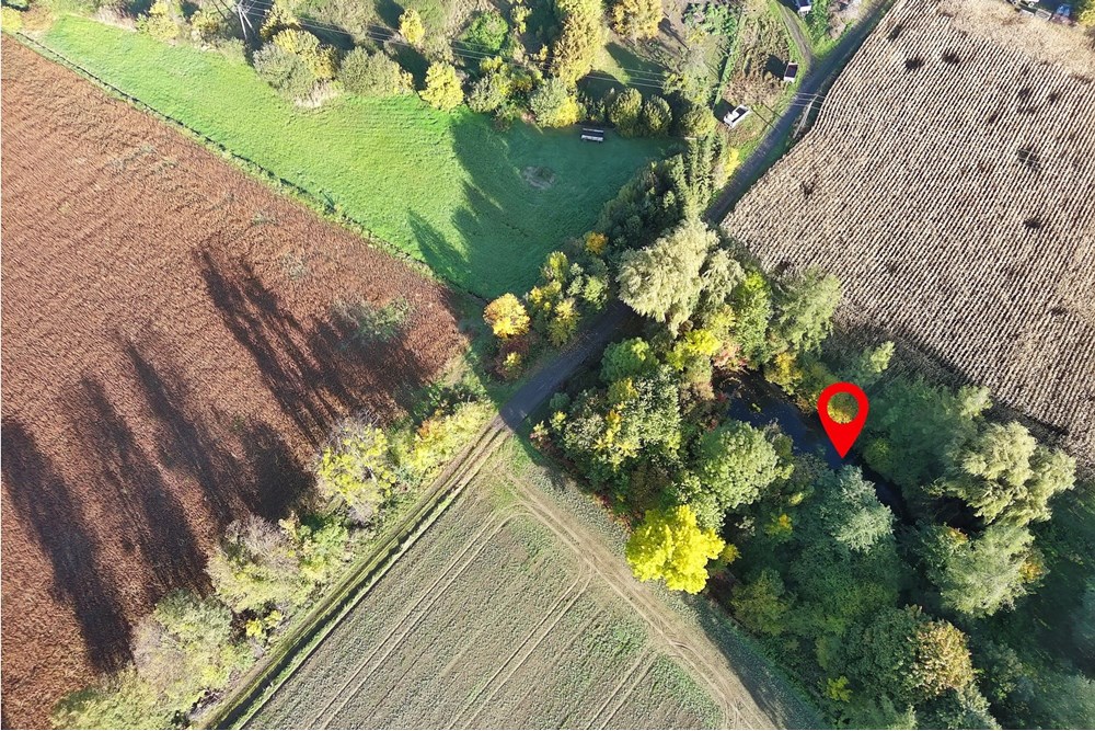 Nieruchomość inwestycyjna - Sprzedaż - Pruchna, Polska - PRU_026M.JPG - 800061076-438