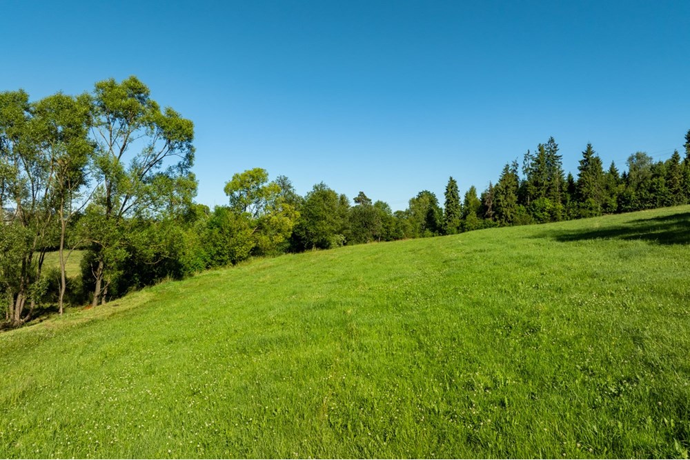 Działka budowlana - Sprzedaż - Morawczyna, Polska - DJI_0721-HDR-21.jpg - 470151039-45