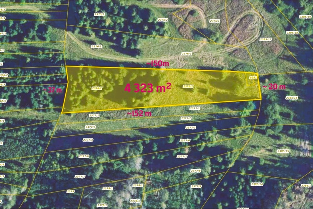 Działka - Sprzedaż - Dzianisz, Polska - OnGeo 1p.w..JPG - 470151050-8