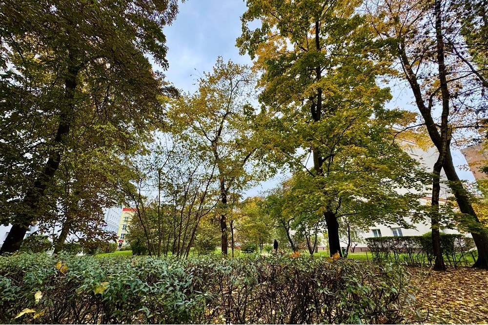 Mieszkanie - Sprzedaż - Warszawa, Polska - IMG_5728.jpeg - 810131046-2