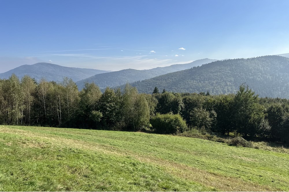 Działka budowlana - Sprzedaż - Międzybrodzie Bialskie, Polska - IMG_1835.jpg - 800061103-193