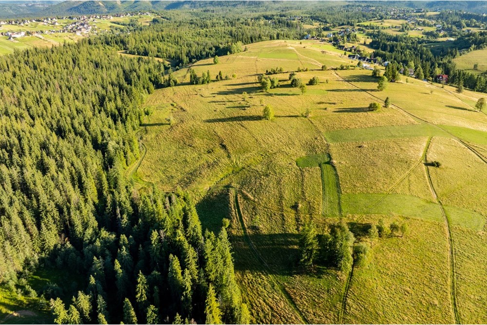 Działka - Sprzedaż - Zakopane, Polska - 20250826-DJI_0052-HDR.jpg - 470151024-448