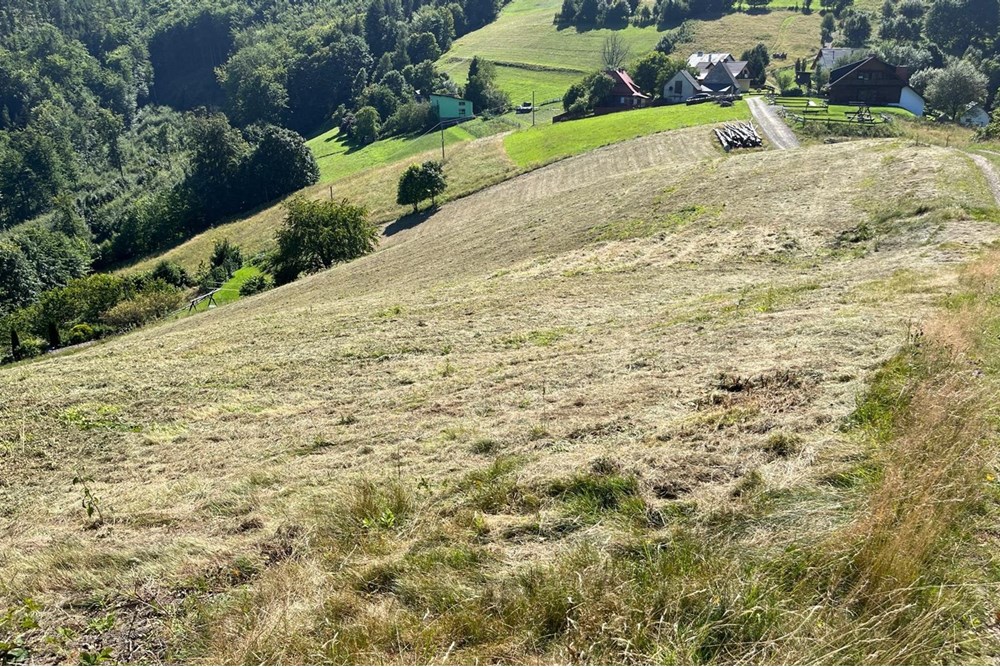 Działka - Sprzedaż - Wisła, Polska - jaworm5.jpg - 470131058-373