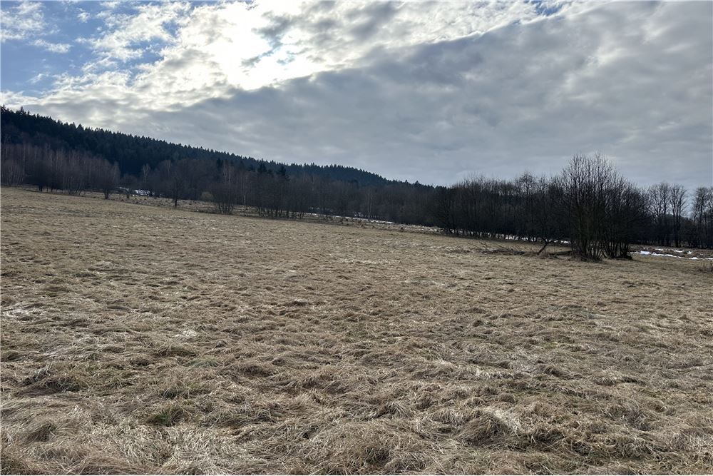 Działka budowlana - Sprzedaż - Las, Polska - 53 - 800061103-198