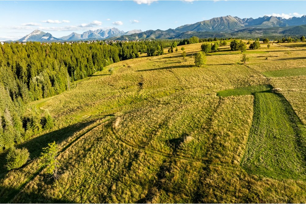 Działka - Sprzedaż - Zakopane, Polska - 20250826-DJI_0112-HDR.jpg - 470151024-449