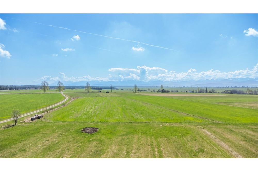 Nieruchomość gruntowa - Sprzedaż - Jabłonka, Polska - 24 - 470131089-56