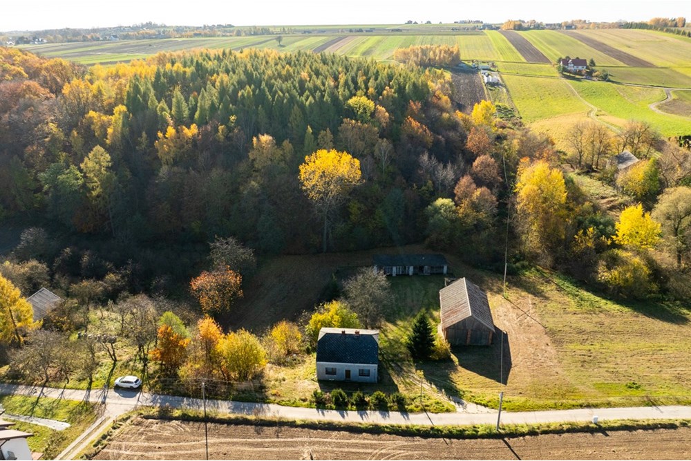 Dom wolnostojący - Sprzedaż - Stoki, Polska - 20251031-DJI_0056-HDR.jpg - 800241032-78