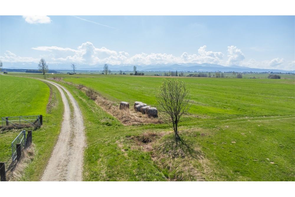 Nieruchomość gruntowa - Sprzedaż - Jabłonka, Polska - 8 - 470131089-56