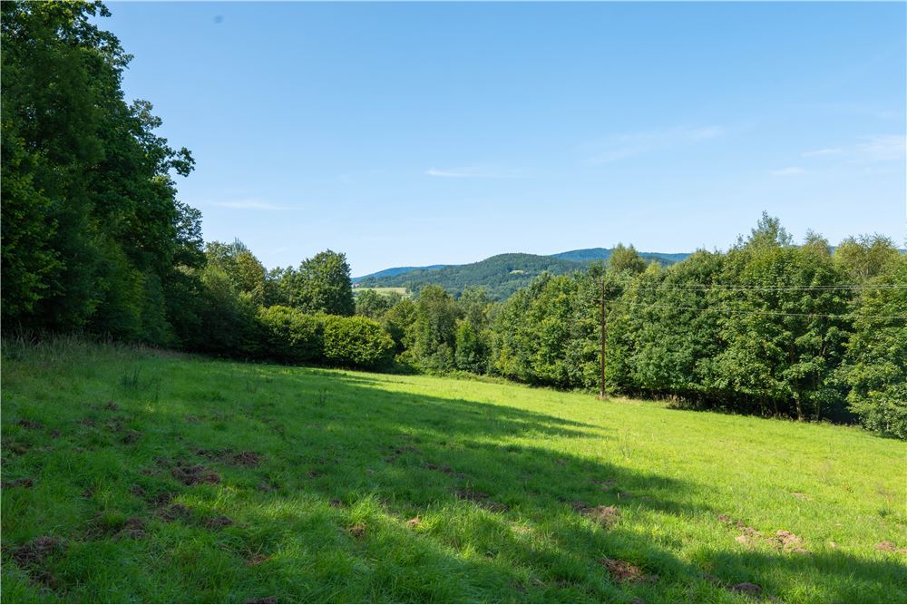 Działka - Sprzedaż - Tarnawa Dolna, Polska - 59 - 800061116-22