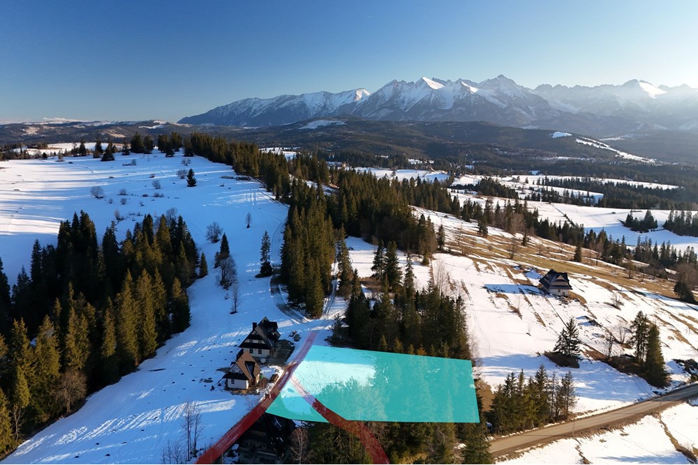 Działka budowlana - Sprzedaż - Rzepiska, Polska - Rzepiska Pawliki Dawid Pajerski (24).JPG - 470131113-323