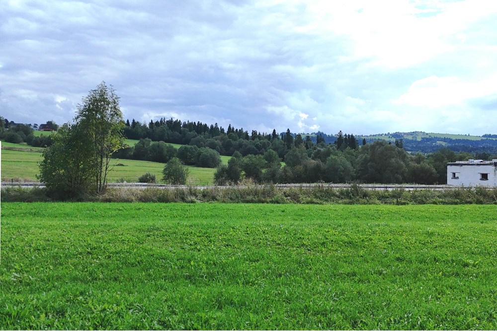 Działka - Sprzedaż - Szaflary, Polska - 1475m2.png (3).jpg - 470151015-494