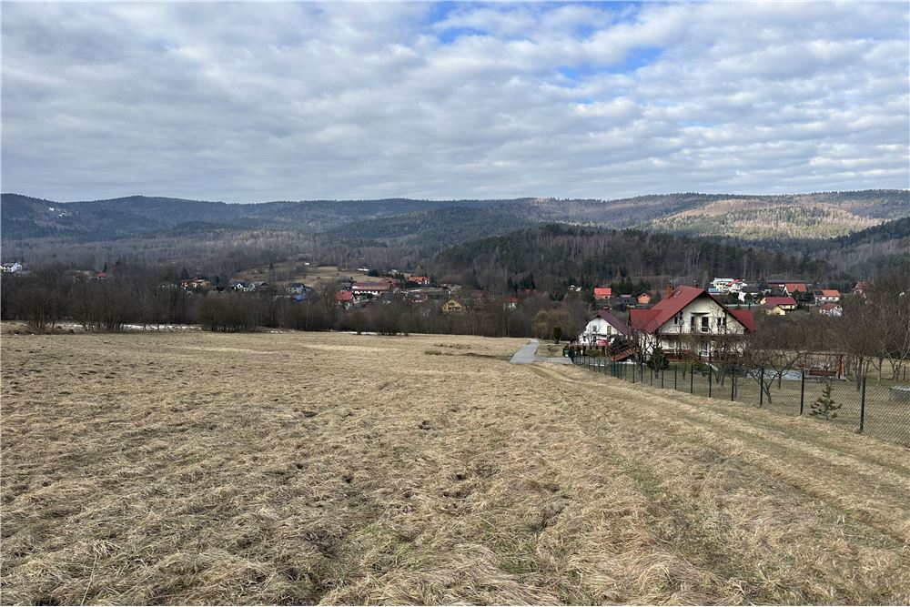 Działka budowlana - Sprzedaż - Las, Polska - 49 - 800061103-198