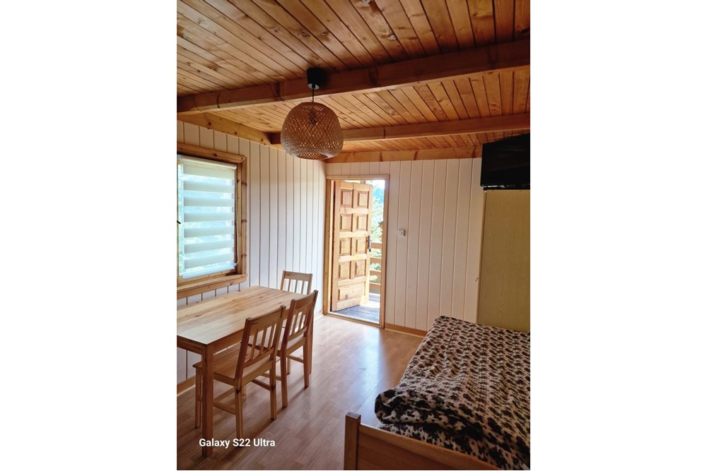 Dom wolnostojący - Sprzedaż - Niedzica-Zamek, Polska - image00013.jpeg - 470151037-45