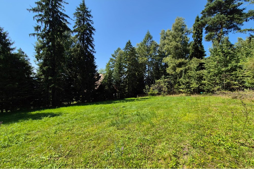 Działka budowlana - Sprzedaż - Naprawa, Polska - biuro nieruchomości (1).jpg - 800091026-80