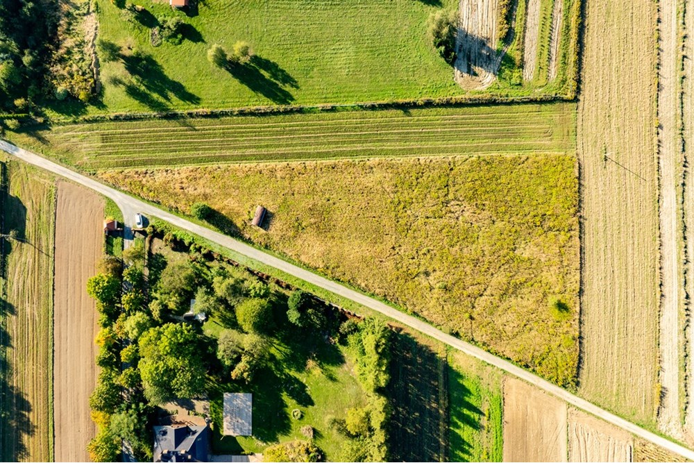 Działka budowlana - Sprzedaż - Skała, Polska - 20250927-DJI_0473-HDR.jpg - 800241031-45