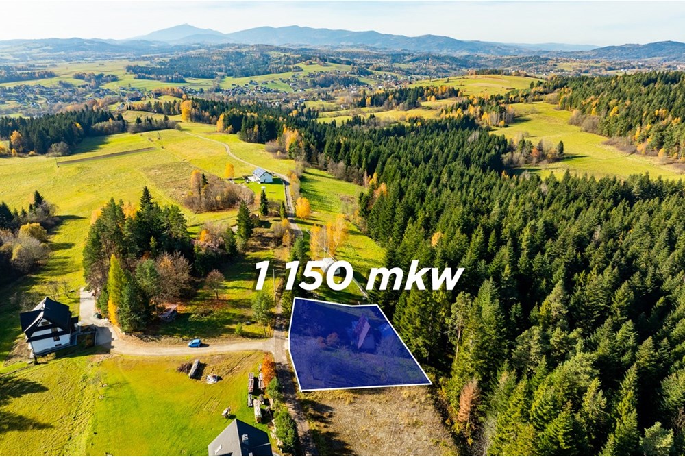 Działka - Sprzedaż - Skawa, Polska - 20251031-DJI_0240-HDR.jpg - 800091056-3