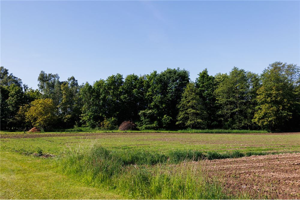 Działka - Sprzedaż - Grojec, Polska - 6 - 800061107-96