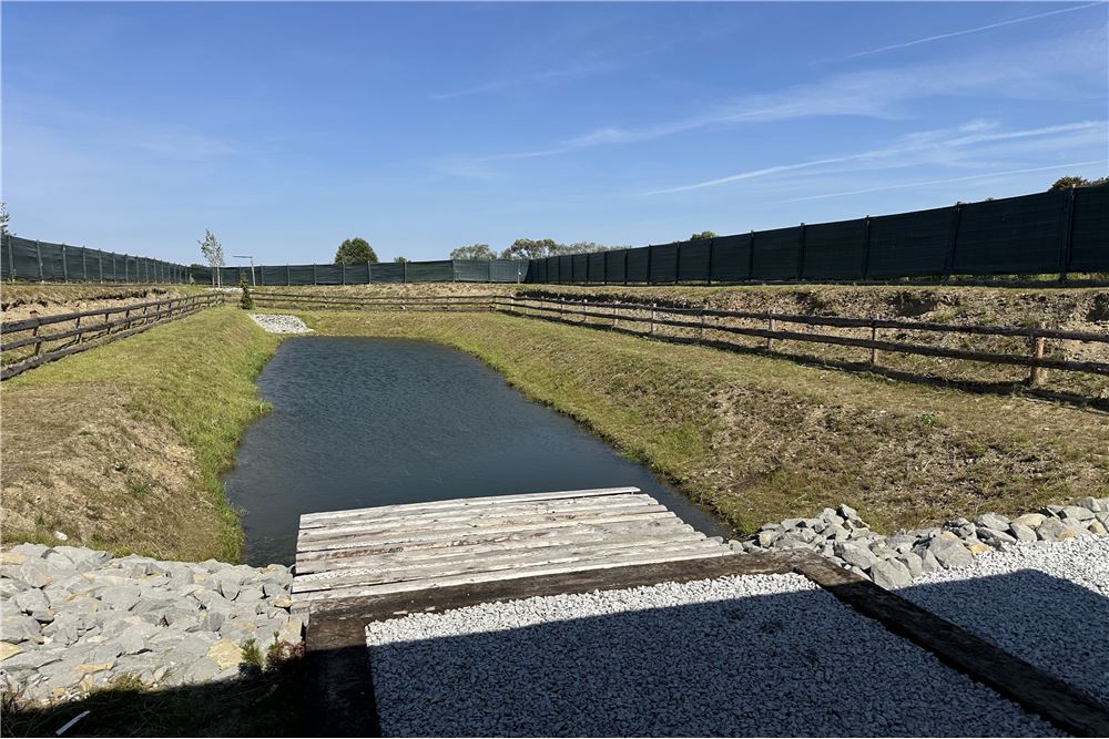 Nieruchomość gruntowa - Sprzedaż - Rudze, Polska - 6 - 800061103-175