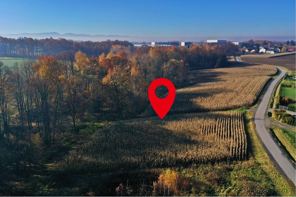 Działka - Sprzedaż - Witkowice, Polska - 1.jpg - 470131110-2