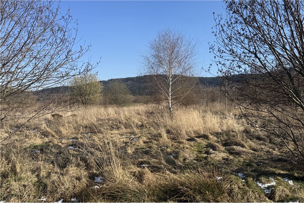 Działka - Sprzedaż - Chocznia, Polska - 3 - 800061100-79