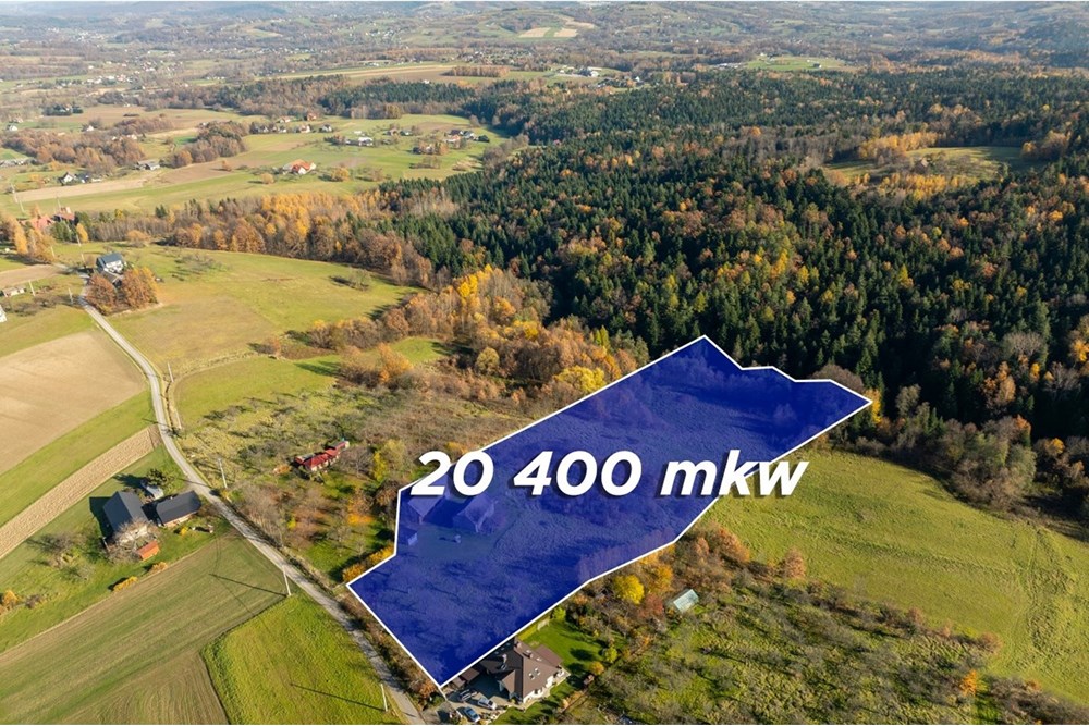 Dom wolnostojący - Sprzedaż - Krasne-Lasocice, Polska - 20251107-DJI_0586-HDR.jpg - 800241017-143