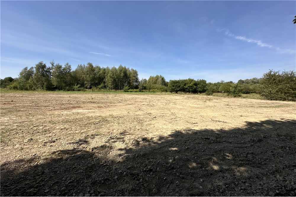 Działka - Sprzedaż - Jankowice, Polska - 31 - 800061103-174