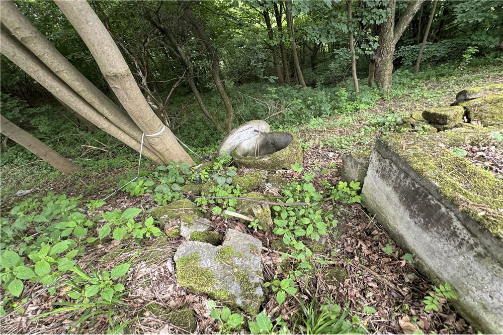 Działka budowlana - Sprzedaż - Chocznia, Polska - 16 - 800061100-85