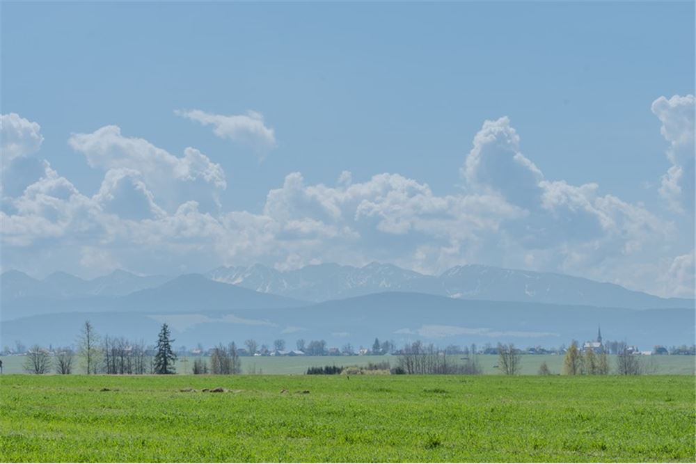 Nieruchomość gruntowa - Sprzedaż - Jabłonka, Polska - 26 - 470131089-56