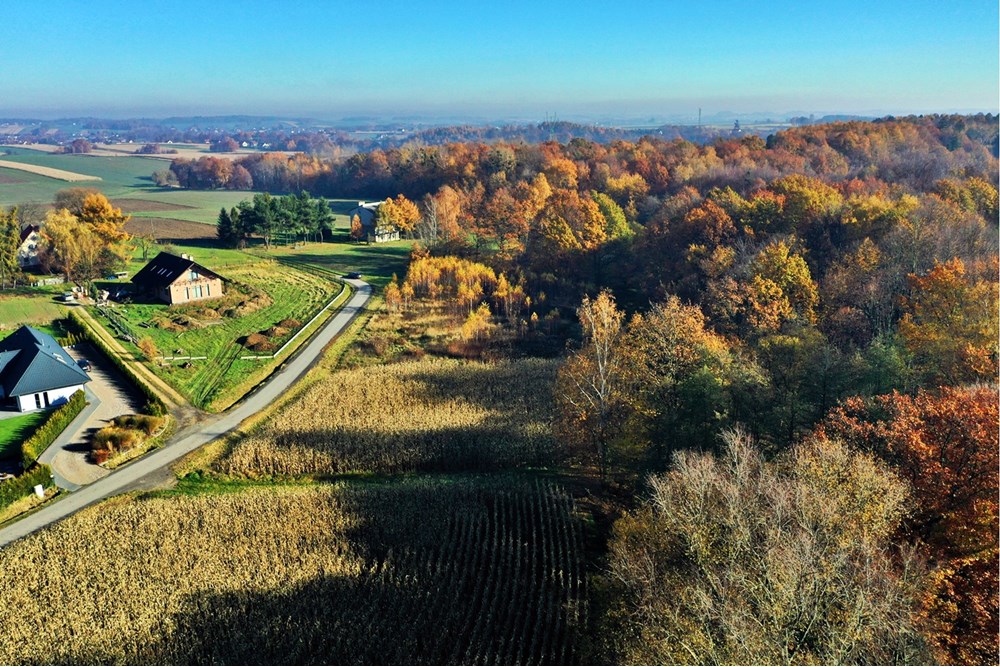 Działka - Sprzedaż - Witkowice, Polska - 7.JPG - 470131110-2