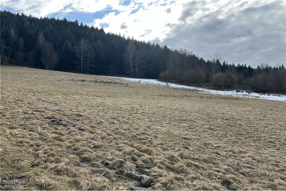 Działka budowlana - Sprzedaż - Las, Polska - 47 - 800061103-198