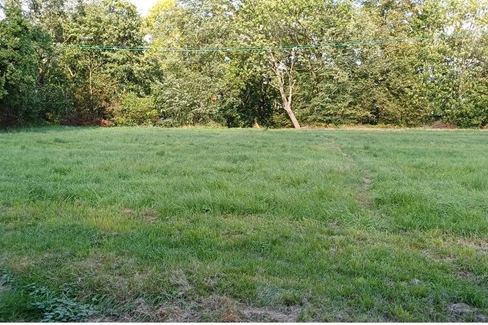 Działka - Sprzedaż - Łodygowice, Polska - podzamcze.9.jpg - 800061133-12