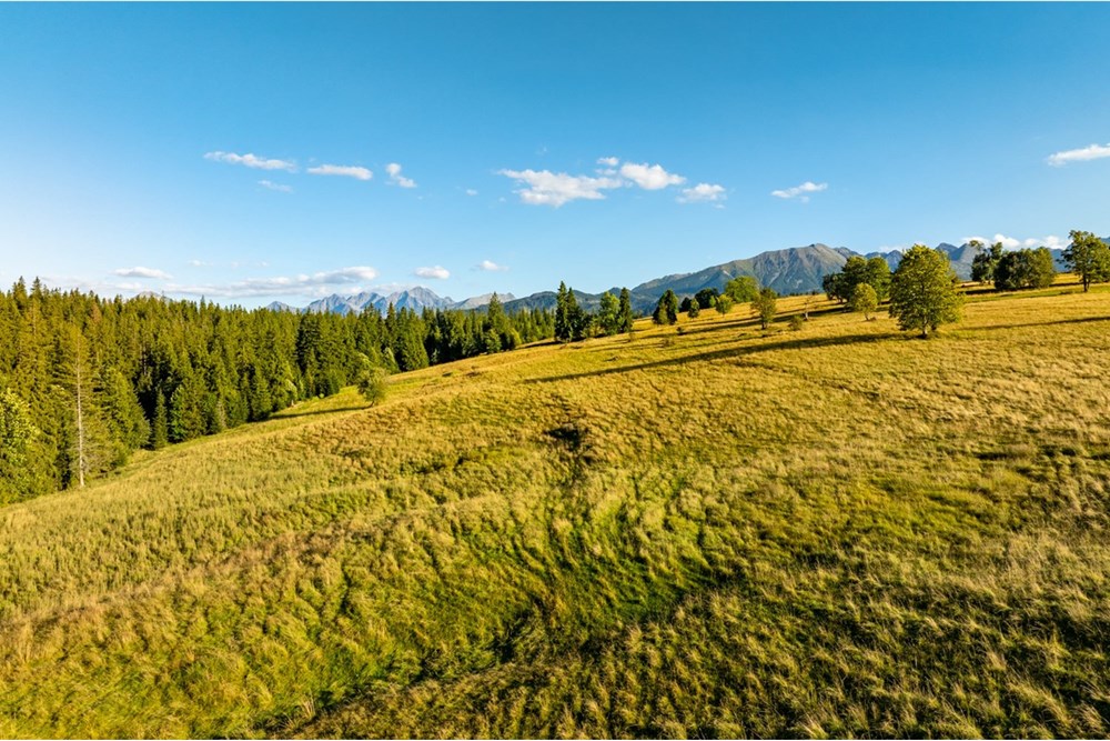 Działka - Sprzedaż - Zakopane, Polska - 20250826-DJI_0076-HDR.jpg - 470151024-448
