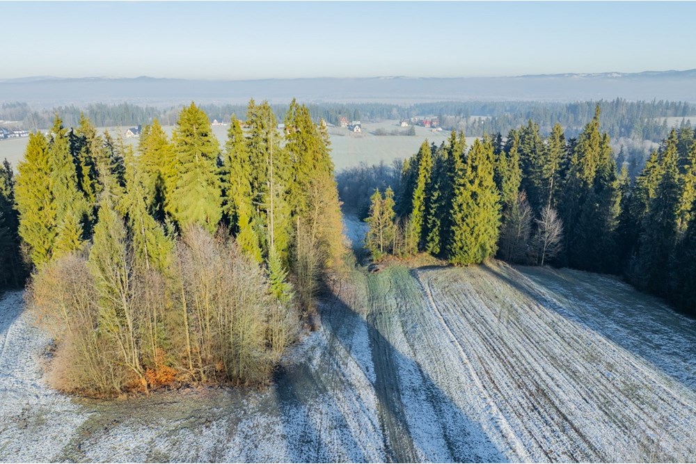 Działka - Sprzedaż - Maruszyna, Polska - 20251119-DJI_0437-HDR.jpg - 800091009-306