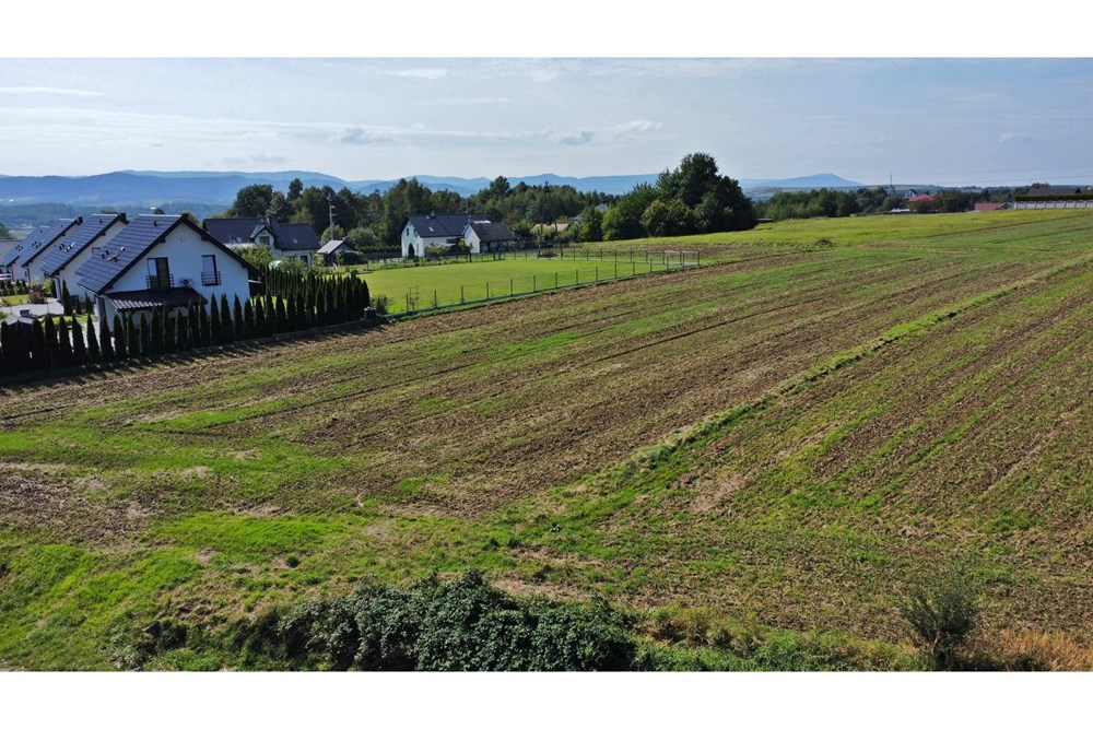 Działka budowlana - Sprzedaż - Frydrychowice, Polska - 6.jpg - 800061039-519