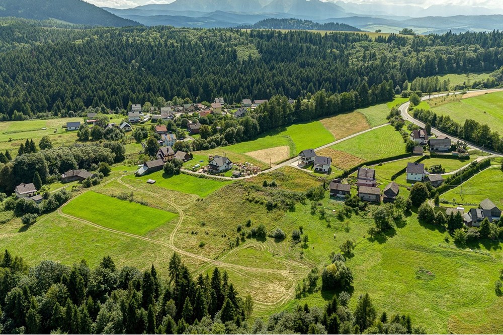 Działka - Sprzedaż - Krośnica, Polska - 0015_pajerski-dzialka-krosnica.jpg - 470131113-349