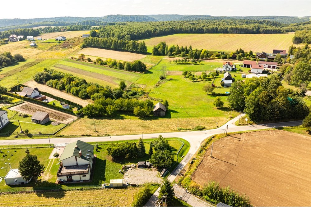 Działka - Sprzedaż - Smardzowice, Polska - 20250909-DJI_0166-HDR.jpg - 800241032-74