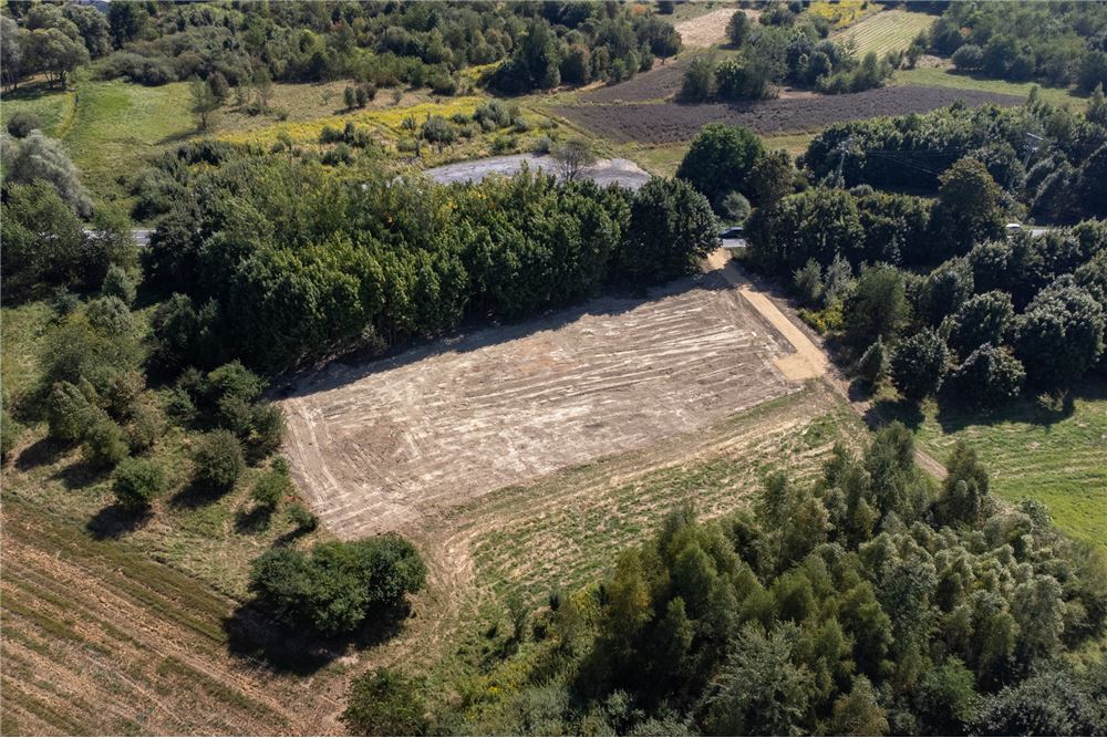 Działka - Sprzedaż - Jankowice, Polska - 19 - 800061103-174